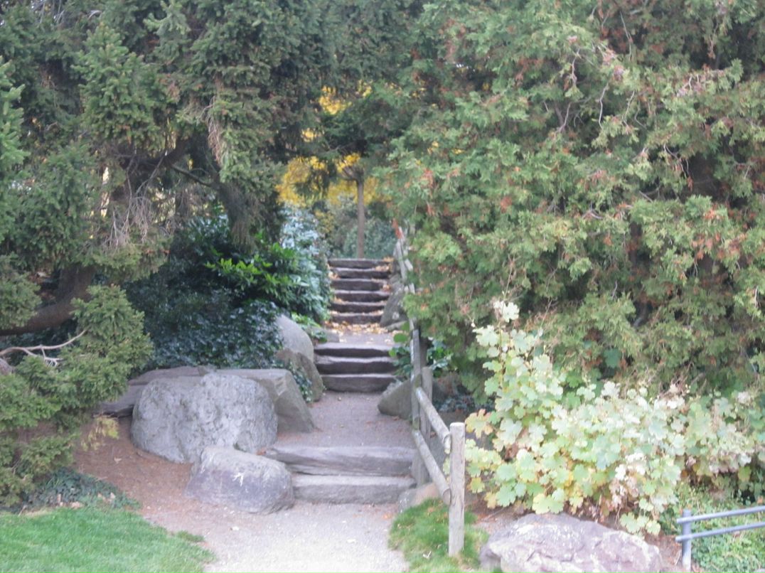 Omar Samir фотография #25