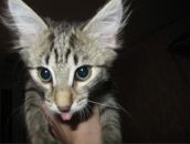 Фотография Михайловой Екатерины