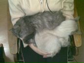 Фотография Базикаловой Елены