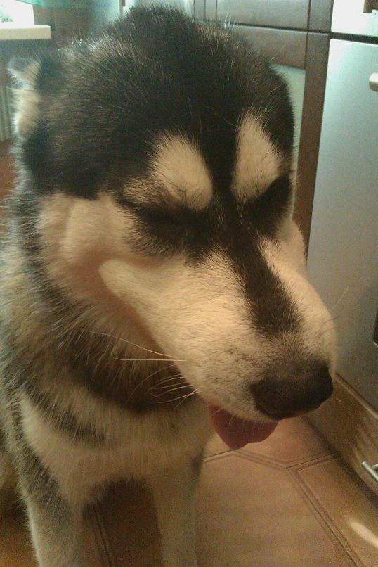 Дмитрий Тепляков фотография #13