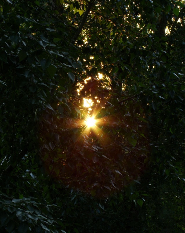 Valentin Lukin фотография #10