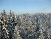 Фотография Валеевой Юлии