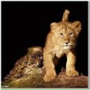 Фотография Москалёвой Анны