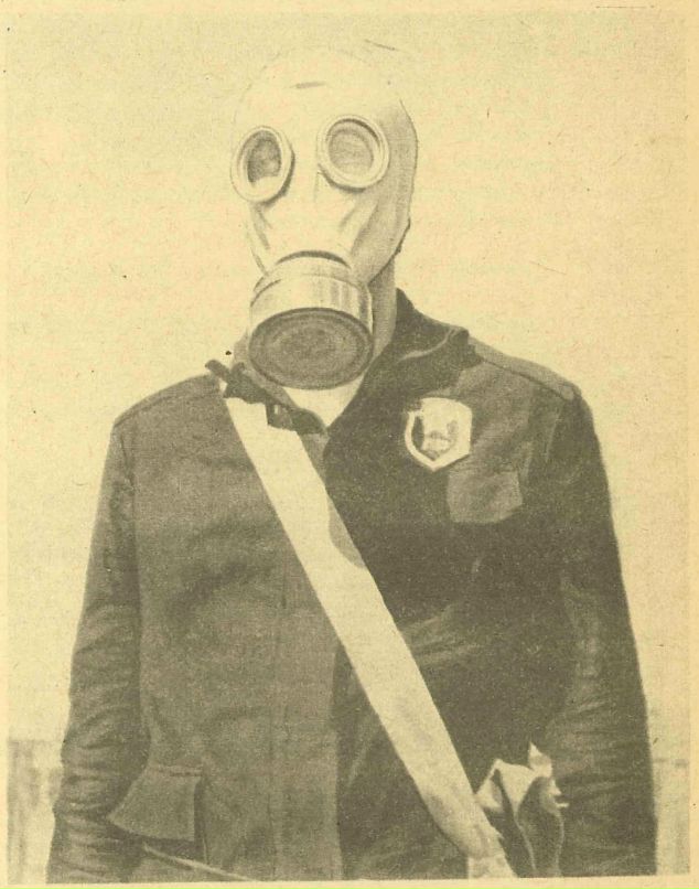 Александр Никитенко фотография #11