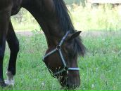 Фотография Кочкиной Анны