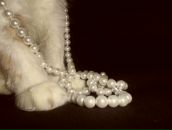 Фотография Степовик Татьяны