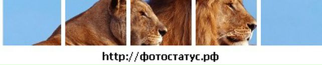 Мурад Карабоев фотография #3 (источник - https://vk.com/id16632107)