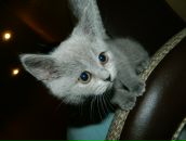 Фотография Калмыковой Натальи