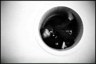 Фотография Казариной Жанны