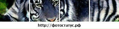 Ростислав Андрійович фотография #8 (источник - https://vk.com/id30328813)