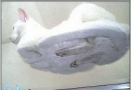 Фотография Виноградовой Анны