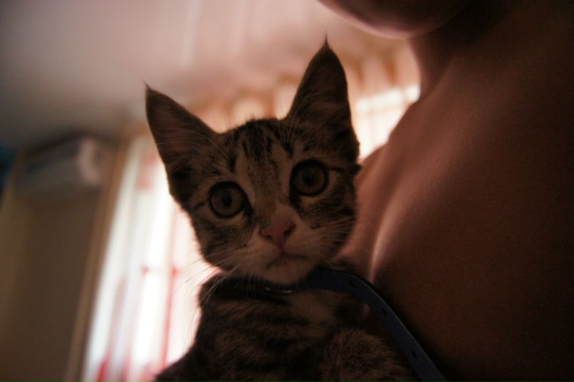 Владислав Давиденко фотография #33