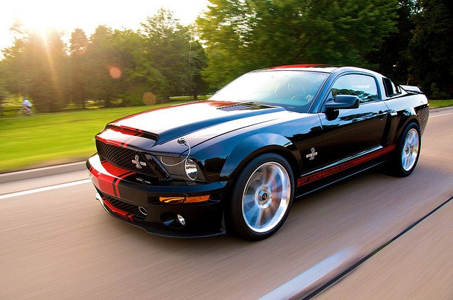 Димон Швец фотография #33