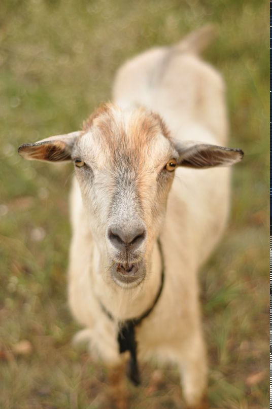 Юра Постников фотография #27