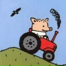 Евгений Ермаков фотография #5 (источник - https://vk.com/id78844)