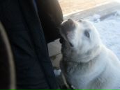 Фотография Лунева (Волянская) Оксаны