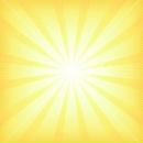 Фотография Griciany Alex