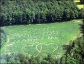 Фотография Талановой Настасьи