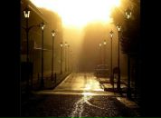 Фотография Аванесян Дианы