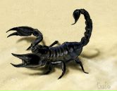 Фотография Иванова Станислава