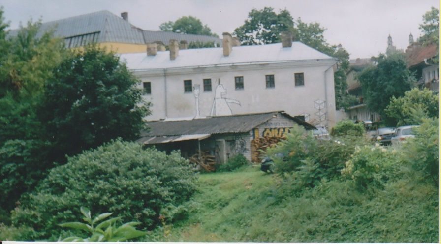 Оля Топунова фото №38