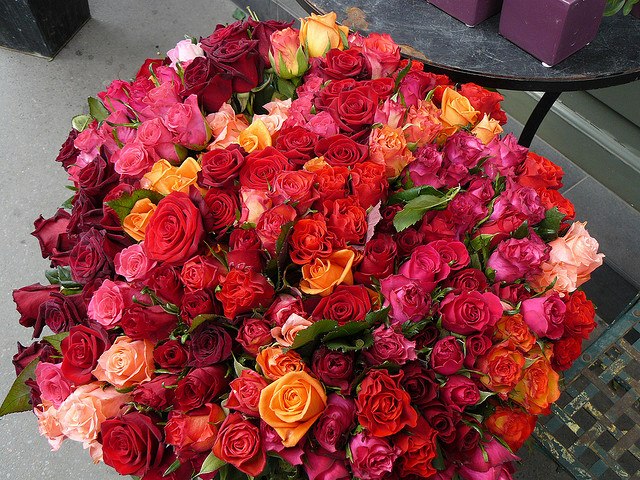 Анна Зинкевич фотография #12