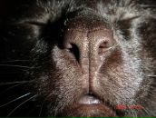 Фотография Кучерова-Klever Сергея