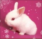 Фотография Игнашевой Елены