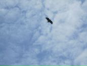 Дмитрий Гомон фотография #19 (источник - https://vk.com/id833603)