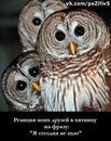 Лєнуська Карауш фотография #7 (источник - https://vk.com/id162381431)