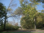 Фотография Жеребцова Петра