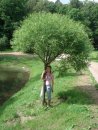 Светлана Андревна фотография #49 (источник - https://vk.com/id1502563)