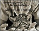 Фотография Павловой Анны