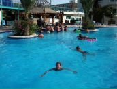 Дмитрий Плотников фотография #29 (источник - https://vk.com/id378898)