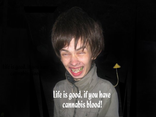 Лианьубисанлинь Чиворимазджан фотография #1