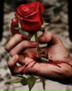 Фотография Двуреченской Екатерины
