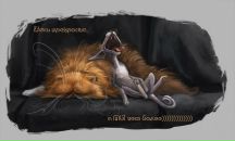 Фотография Соболевой Ольги