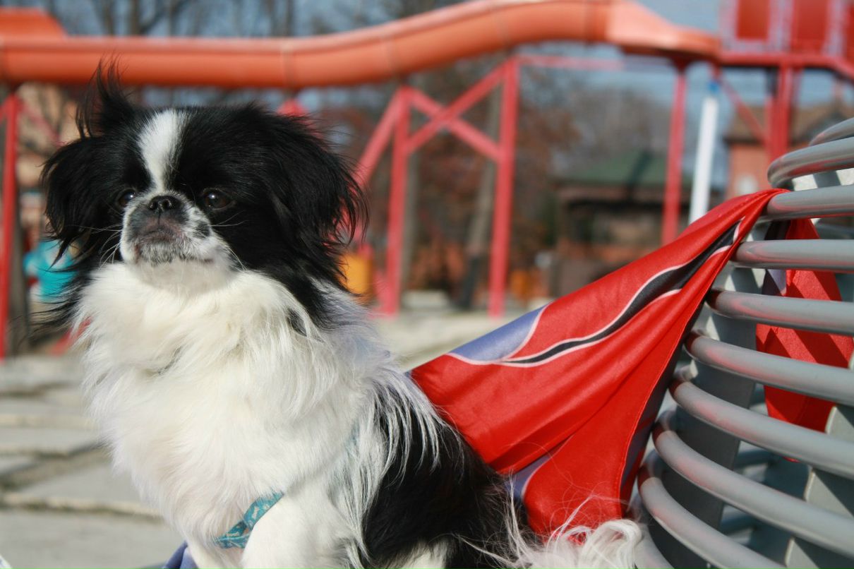 Надежда Пилип фотография #43