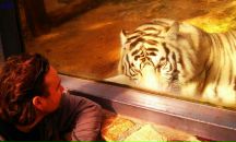 Дмитрий Сметанин фотография #42 (источник - https://vk.com/id474359)