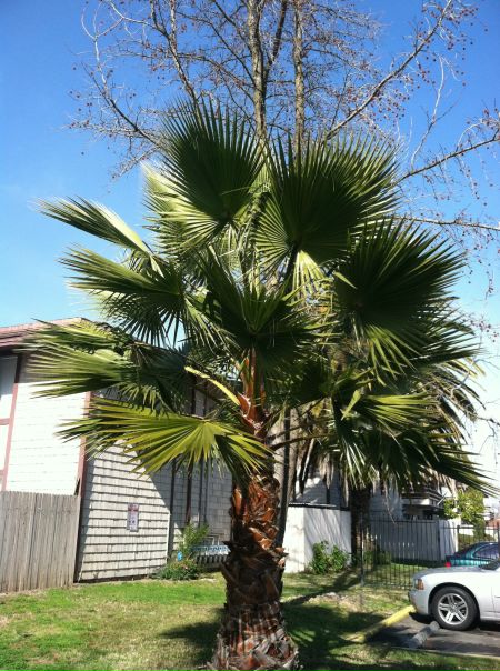 Федор Гончар фото №12