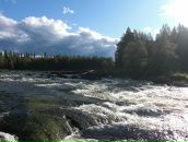 Ivan Ostapenko фотография #40 (источник - https://vk.com/id1696641)