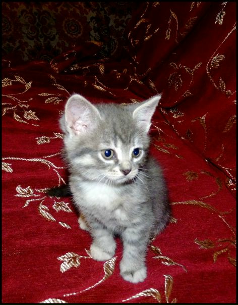 №1, Анастасия Скотникова, Москва, Россия №1, Анастасия Скотникова, Москва, Россия