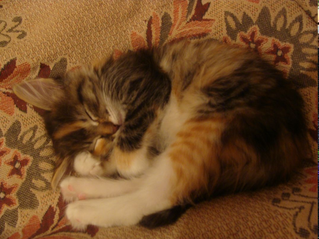 Антон Столяров фотография #46