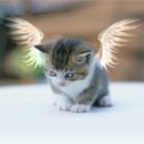 Фотография Катиной Кати