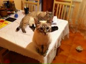 Фотография Дёминовой Лены