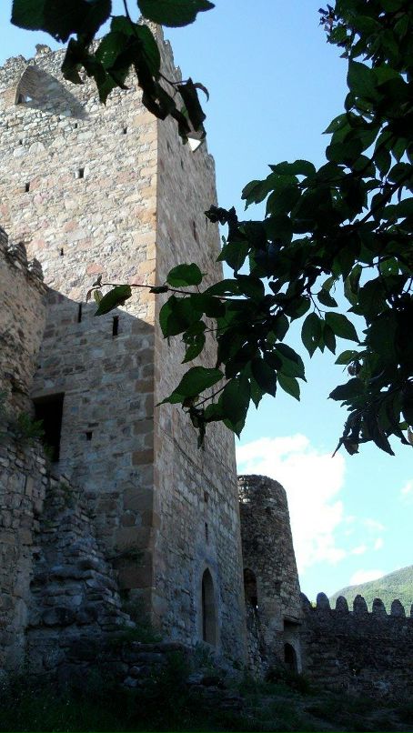 Maia Kobalia фотография #38