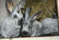 Фотография Пивоваровой Ольги