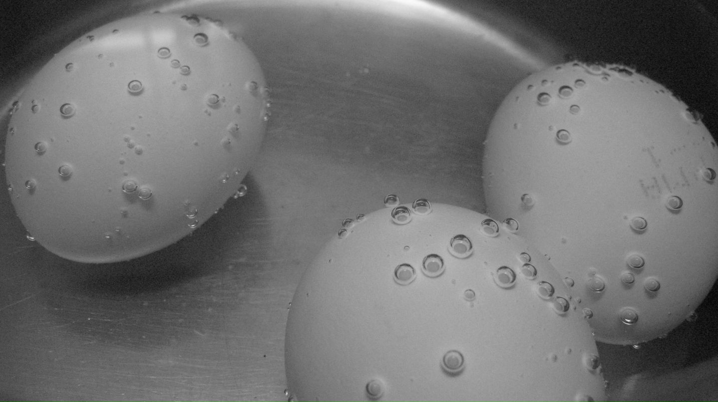 Илья Черников фотография #49