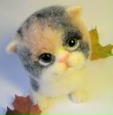 Фотография Вавиловой-Васильевой Ольги