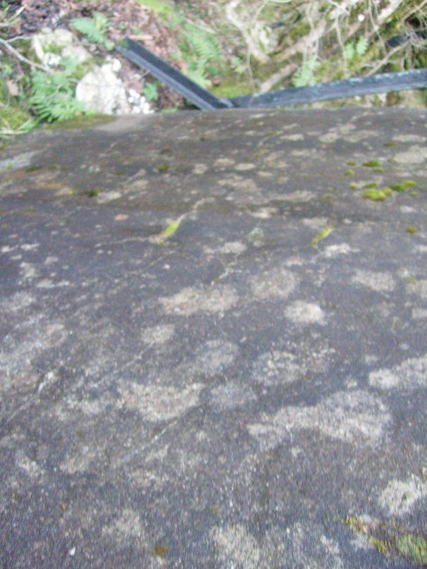 Дмитрий Белый фотография #34